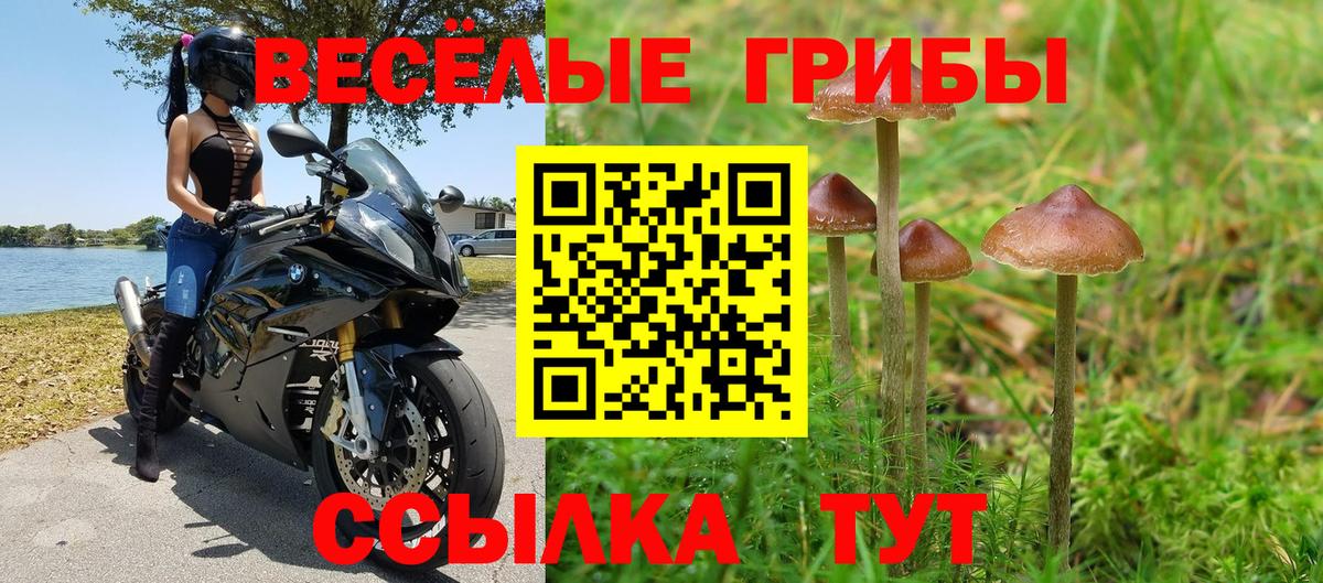 Спасск-Дальний  Псилоцибиновые грибы Cubensis  Вход с VPN 